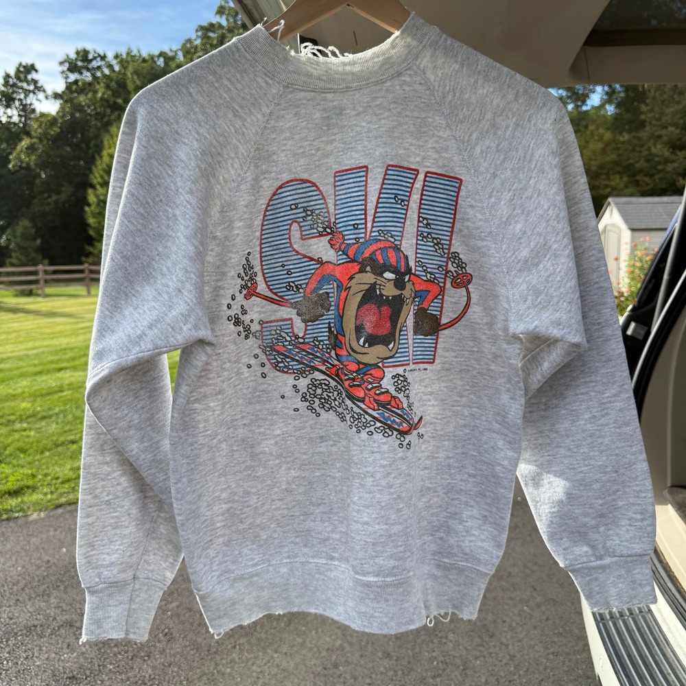 Vintage 1988 Taz Ski Sweatshirt Medium Gray Artex USA Looney Tunes Distressed